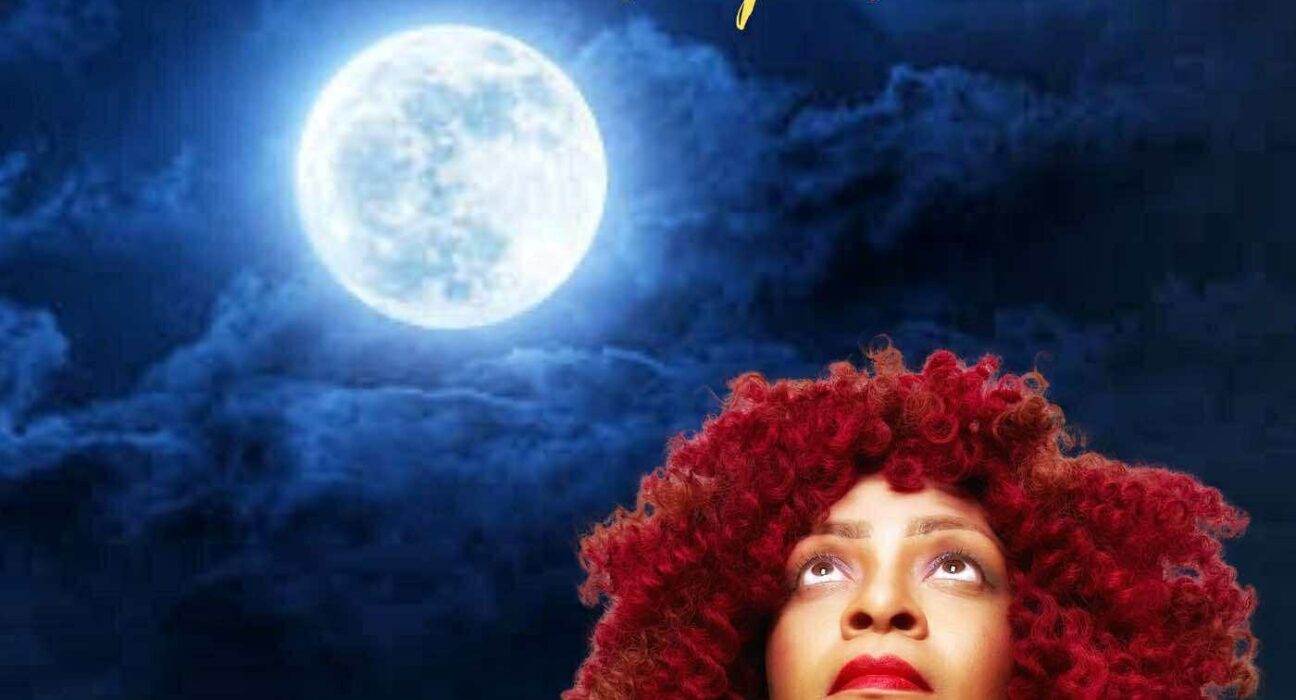 GeminiiDRAGON feat. Linwood Taylor - Moonlight Movin' & Groovin'
