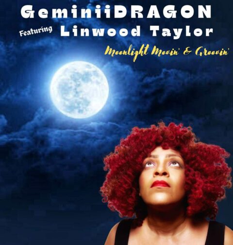 GeminiiDRAGON feat. Linwood Taylor - Moonlight Movin' & Groovin'
