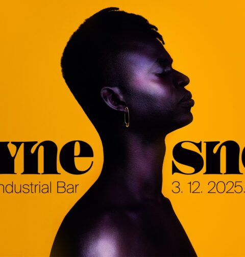 Wayne Snow, Vintage Industrial Bar