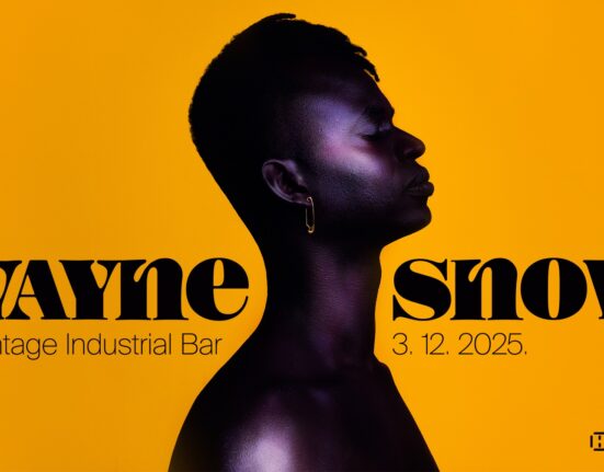 Wayne Snow, Vintage Industrial Bar
