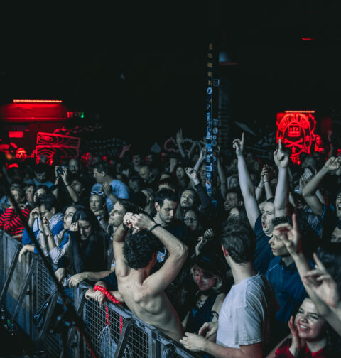 Mudri Brk u Vintage-u (foto: Filip Kovačević)