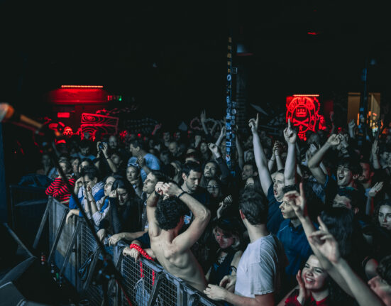 Mudri Brk u Vintage-u (foto: Filip Kovačević)