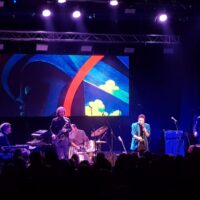 Mangroove u Boogaloou, foto: Draženko Kapović