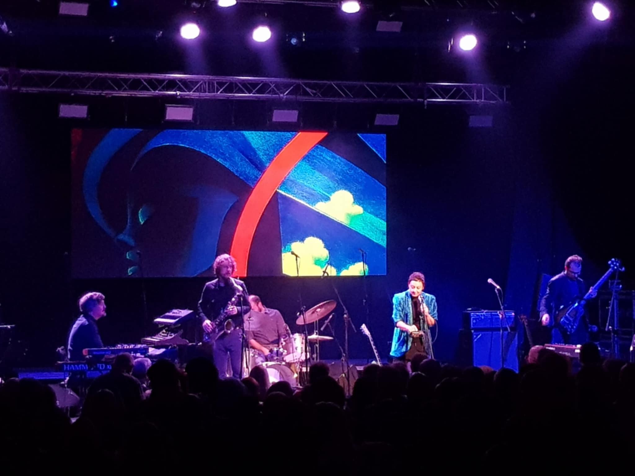 Mangroove u Boogaloou, foto: Draženko Kapović