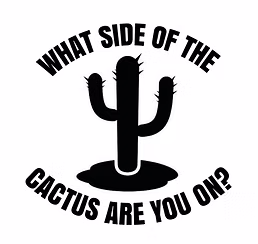 Bluesman Mike Francis - What Side Of The Cactus Are You On