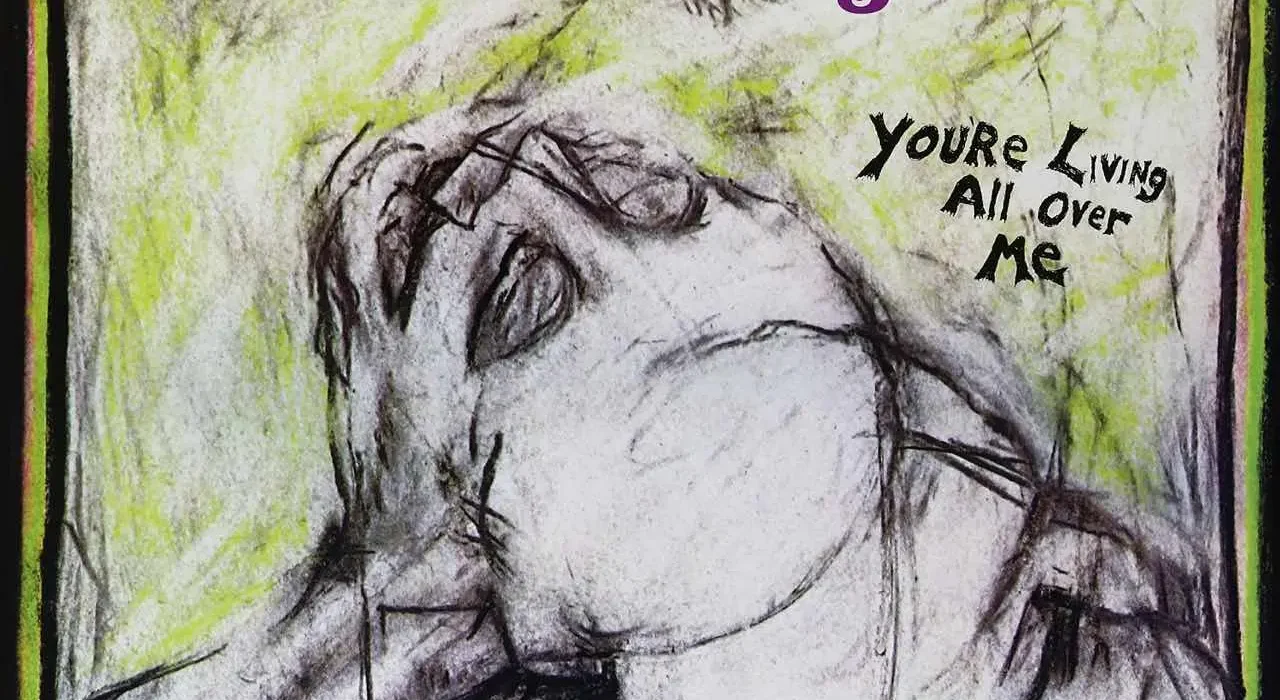 Dinosaur Jr. - You're Living All Over Me