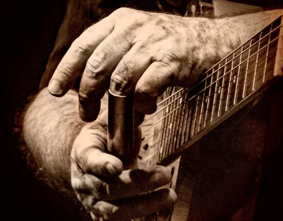 Tinsley Ellis - Labor Of Love