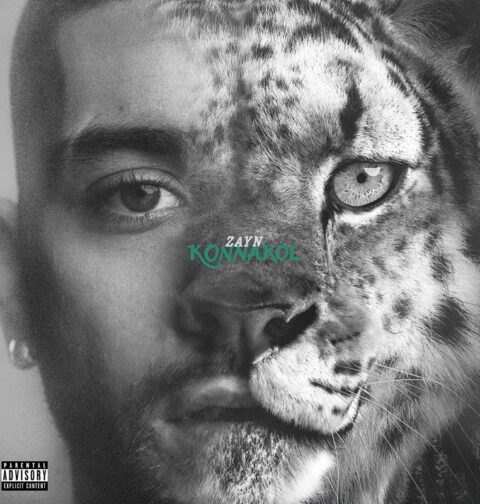 Zayn - Die For Me