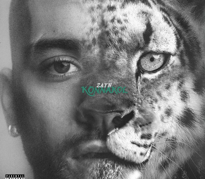 Zayn - Die For Me