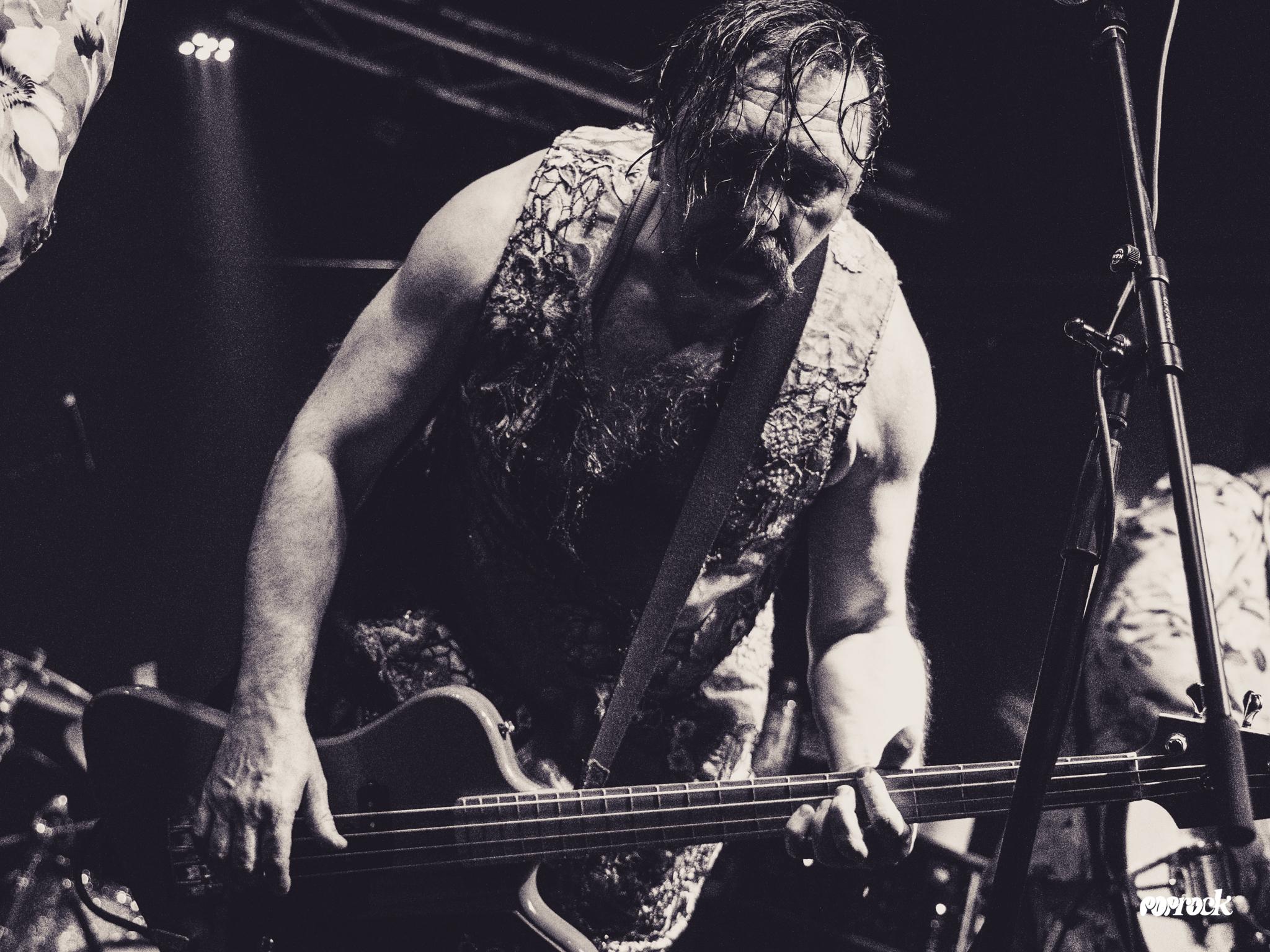 Damir Martinovic Mrle, foto: Dragutin Andrić