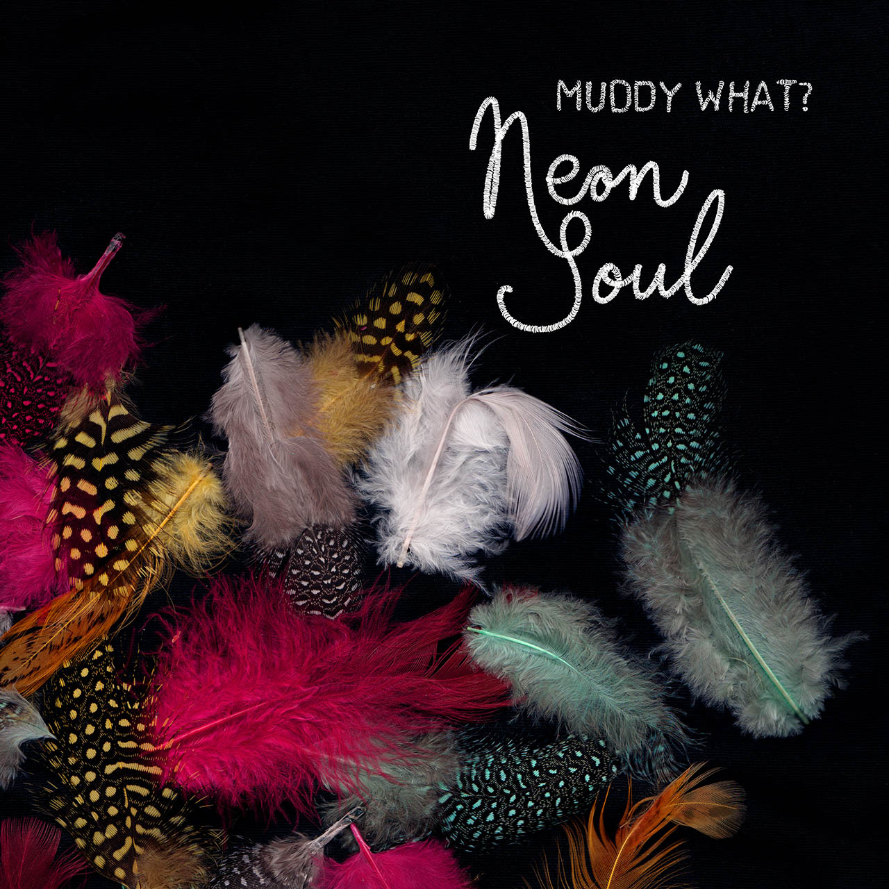 Muddy What - "Neon Soul"