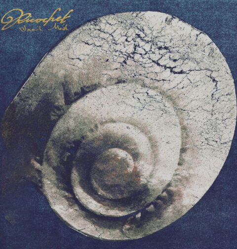 Snail Mail – Ricochet