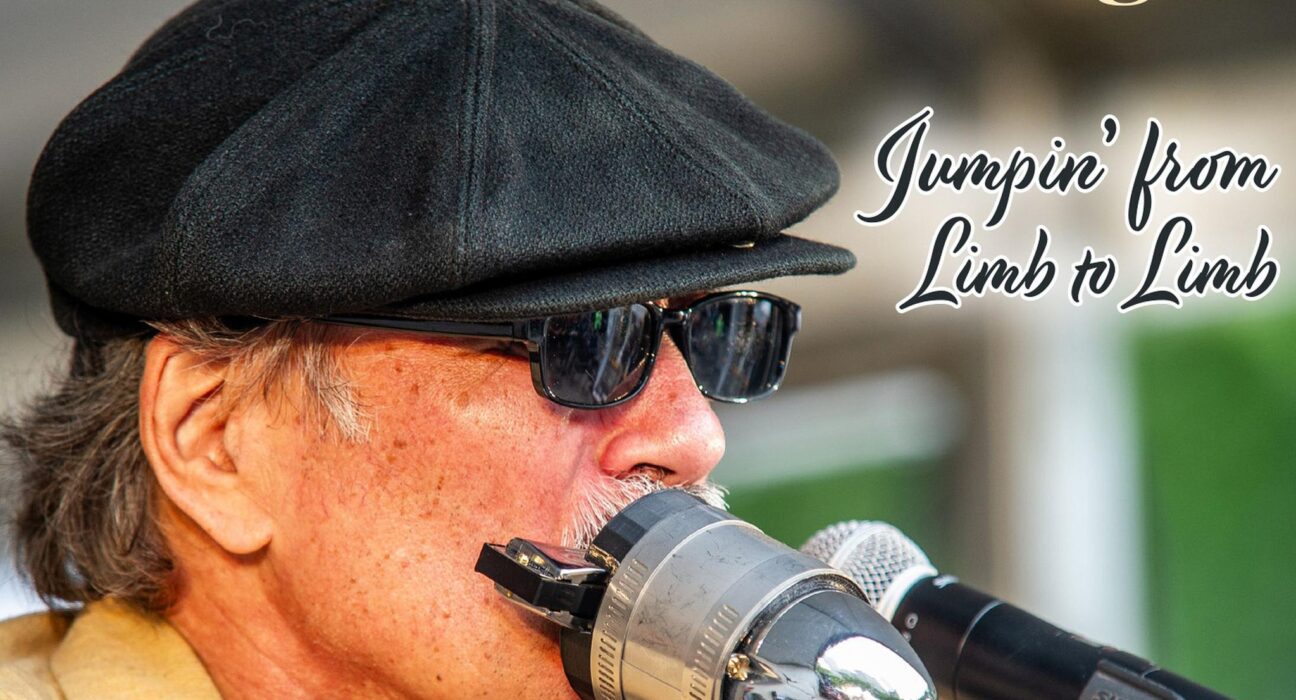 Studebaker John - "Jumpin' From Limb To Limb"