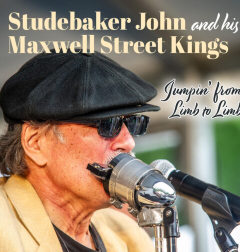 Studebaker John - "Jumpin' From Limb To Limb"