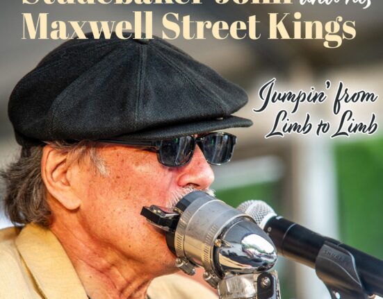 Studebaker John - "Jumpin' From Limb To Limb"