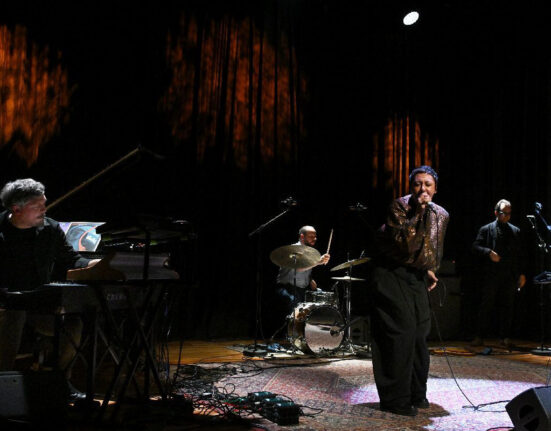 Mangroove u Splitu, foto: Jadran Babić