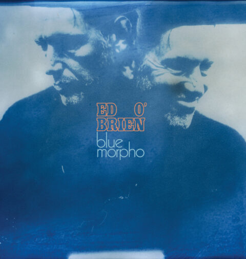Ed O’Brien - Blue Morpho