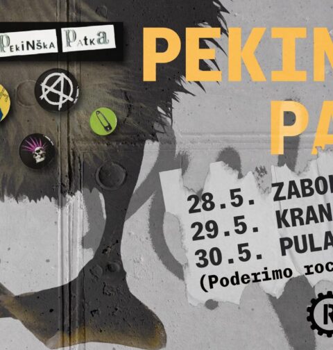 Pekinška patka Zabok