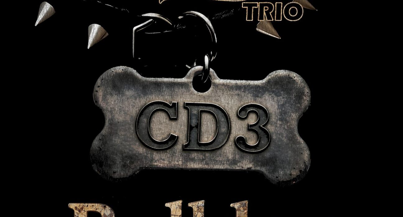 The CD Woodbury Trio - Bulldog