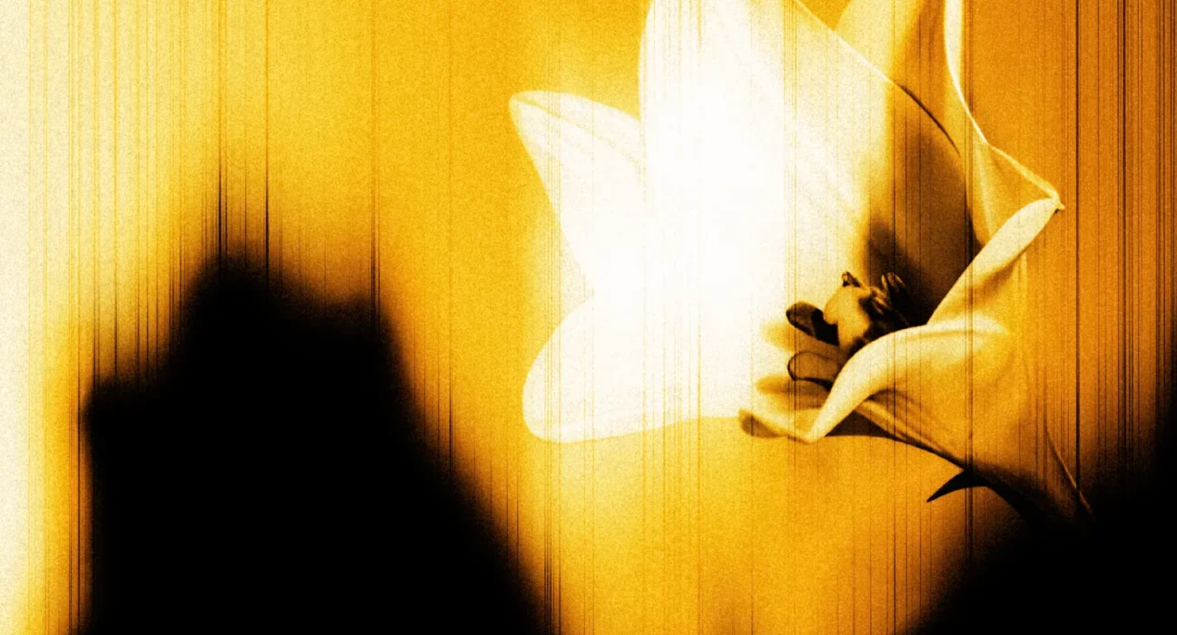 U2 - Easter Lily EP