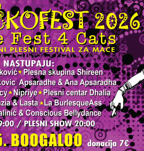 Mačkofest 2026 (foto: promo)