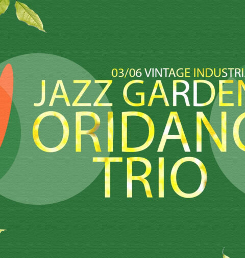 Oridano Trio u VIB-u