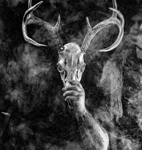 Wolves in the Throne Room, promo foto