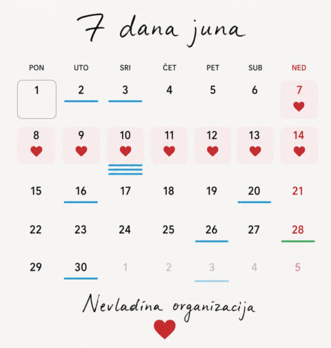 Nevladina organizacija - 7 dana juna (foto: promo)