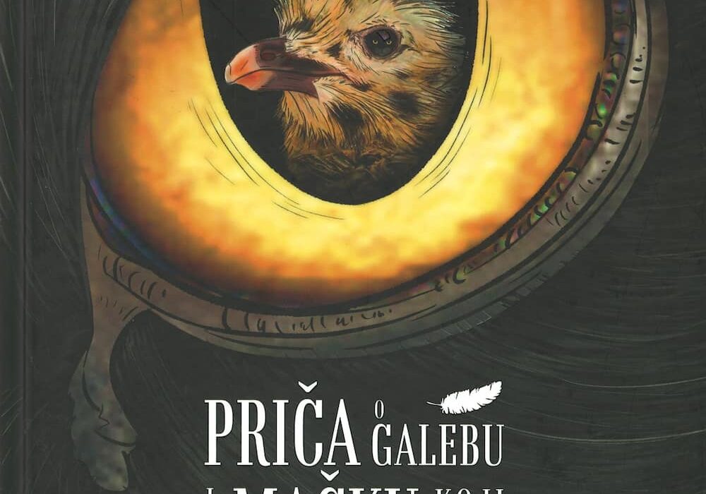 Priča o galebu i mačku koji ga je naučio letjeti