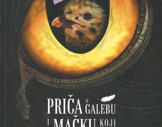 Priča o galebu i mačku koji ga je naučio letjeti