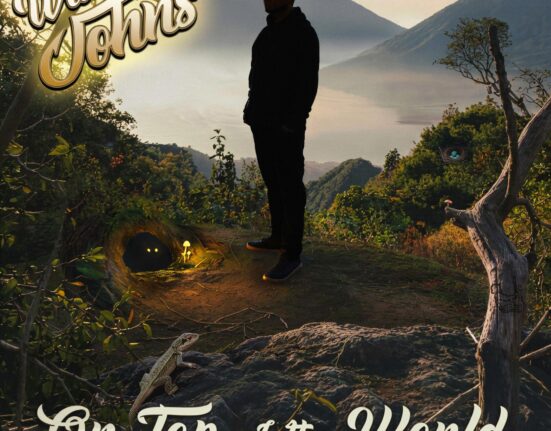 Will Johns - On Top Of The World