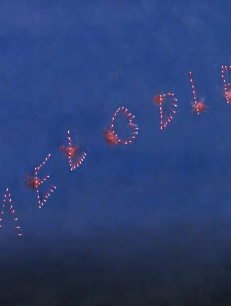 Slow Pulp - Melodie