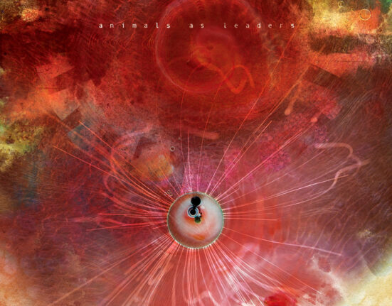 Animals As Leaders - The Joy Of Motion