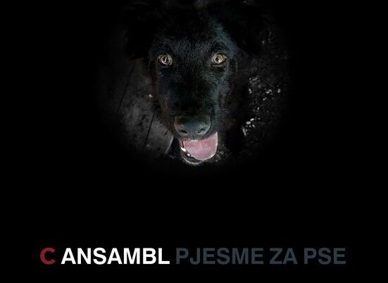 C ansambl