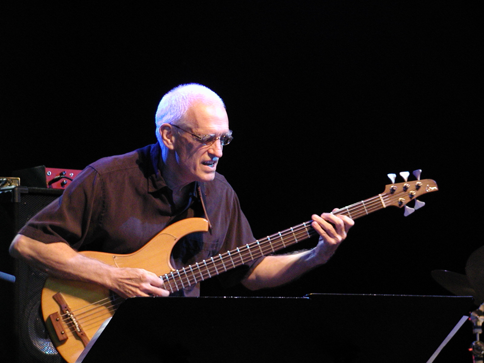 Steve Swallow, foto: Davor Hrvoj